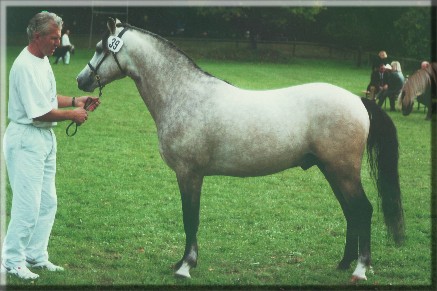 Breeton Bric bei der K�rung 1993